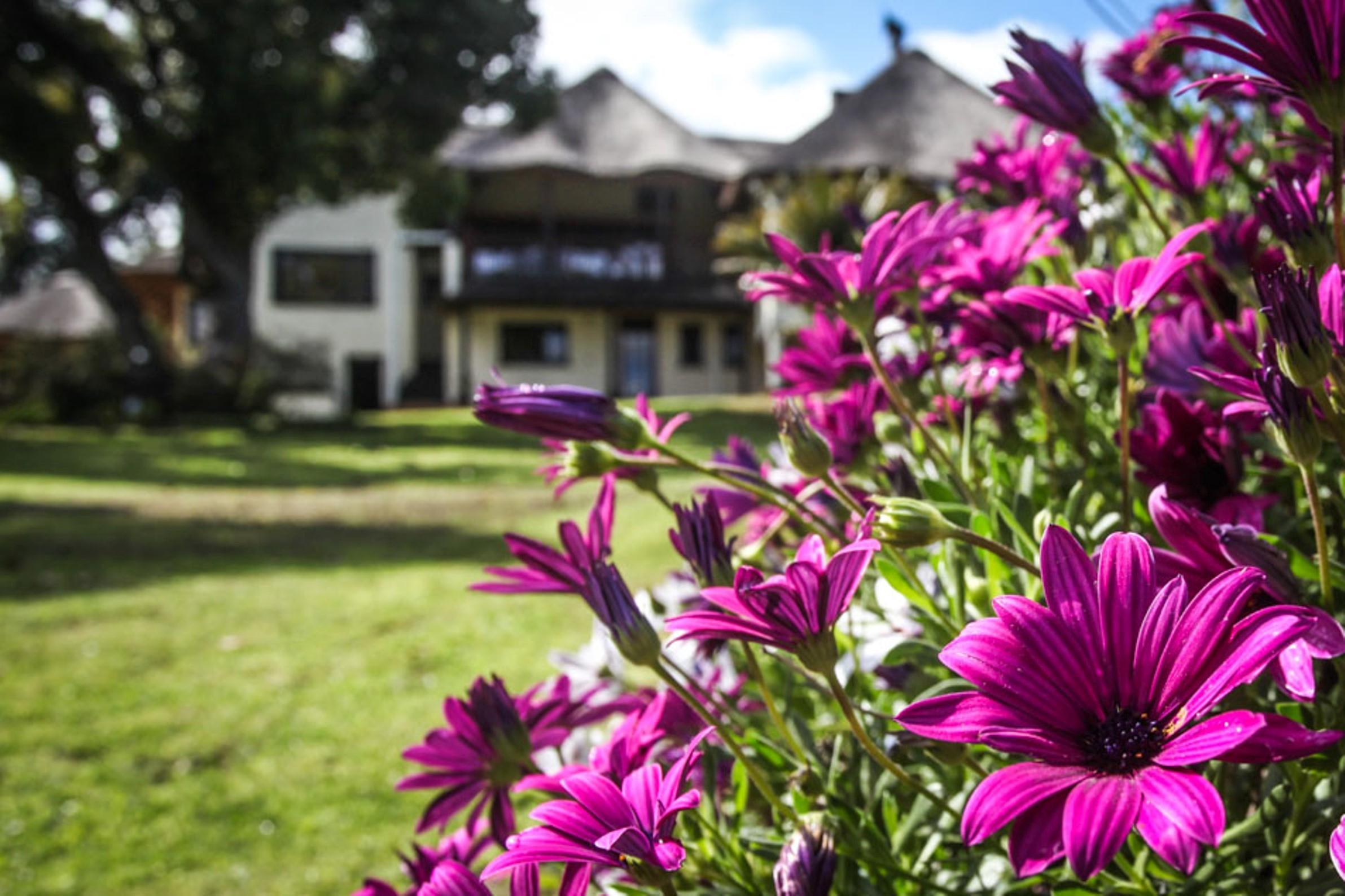Winelands Villa Guesthouse And Cottages Somerset West Eksteriør billede