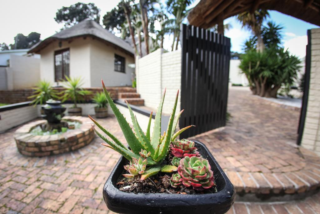 Winelands Villa Guesthouse And Cottages Somerset West Værelse billede