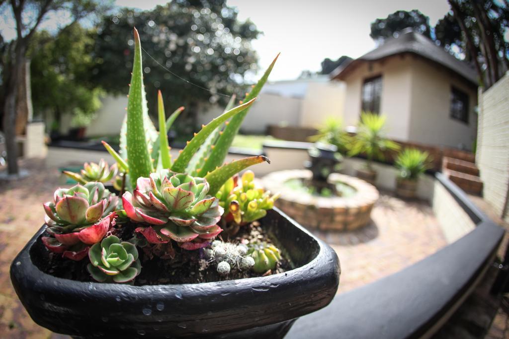 Winelands Villa Guesthouse And Cottages Somerset West Eksteriør billede